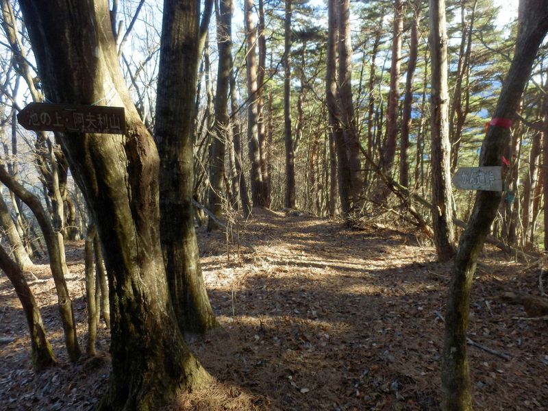 池の上・阿夫利山分岐