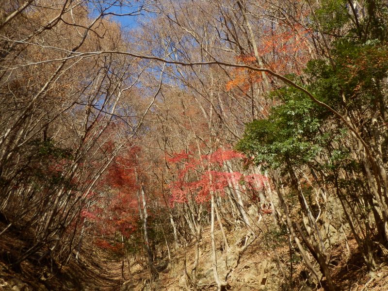 巨大ハーフパイプのような怖い谷