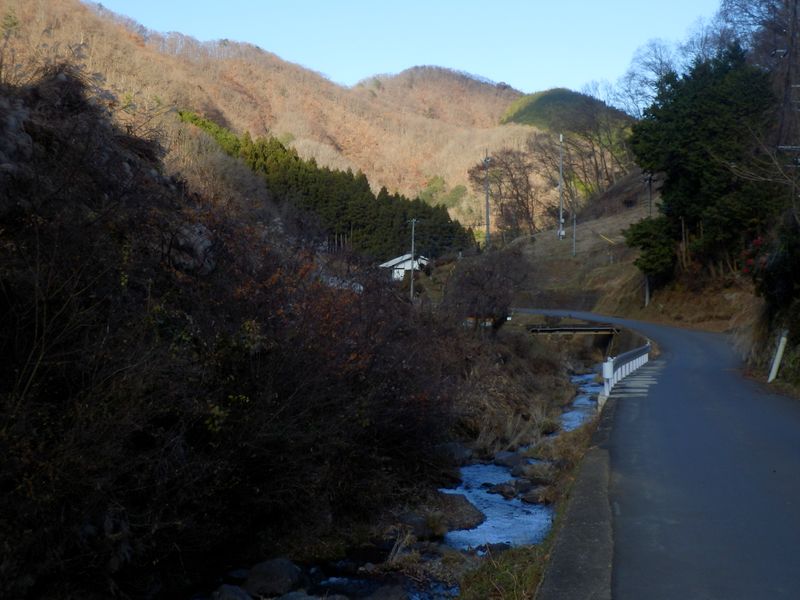 奥に見えるのが阿夫利山かな