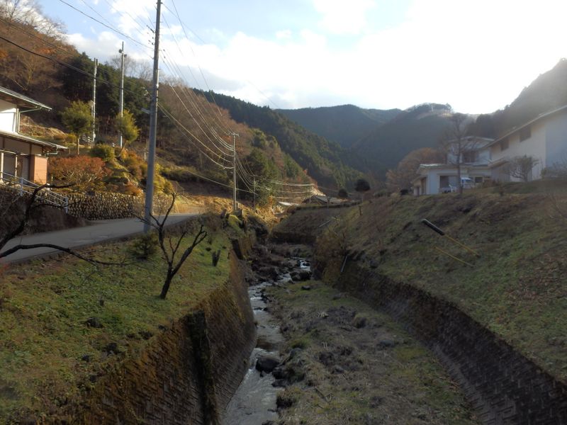 橋の上から安寺沢上流を望む