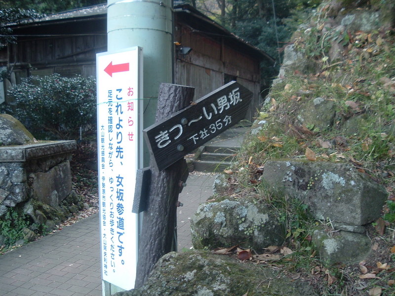 イタツミ尾根から大山 -- 反対側には、『らくらく女坂』