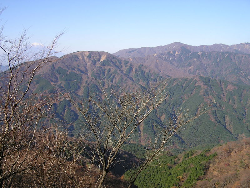 イタツミ尾根から大山 -- 富士山と西丹沢の山々を望む