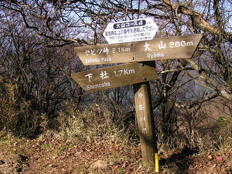 イタツミ尾根から大山 -- 下社からの登山道と合流
