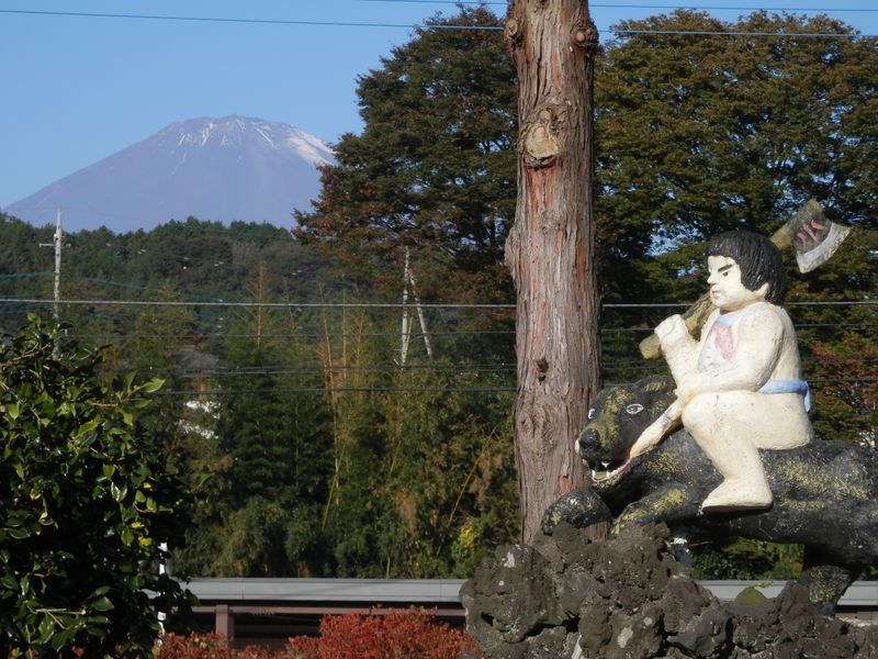 熊が小さくて可哀そう