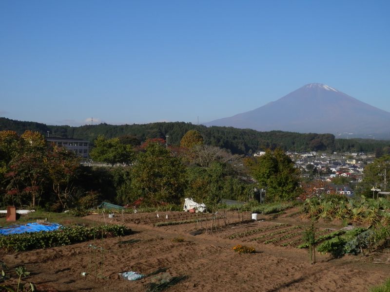 振り返ると、足柄小学校
