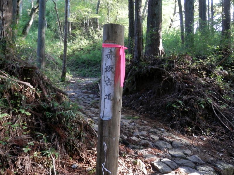 左手の「赤坂古道」に進む