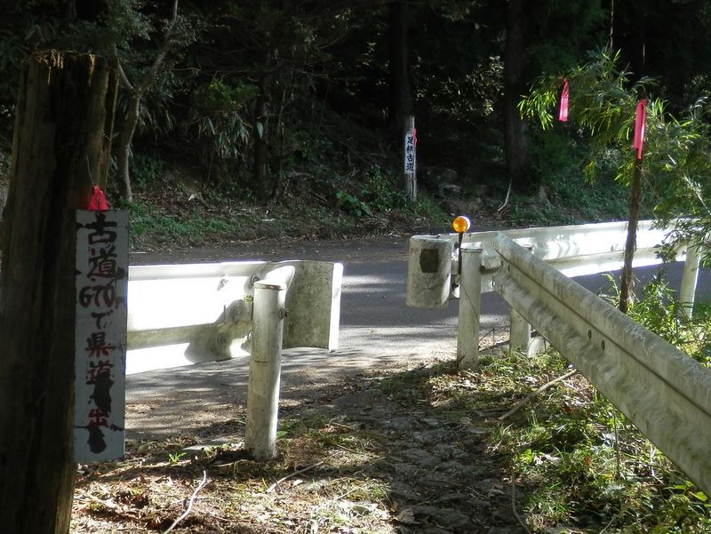 向かい側の「足柄古道」に進む