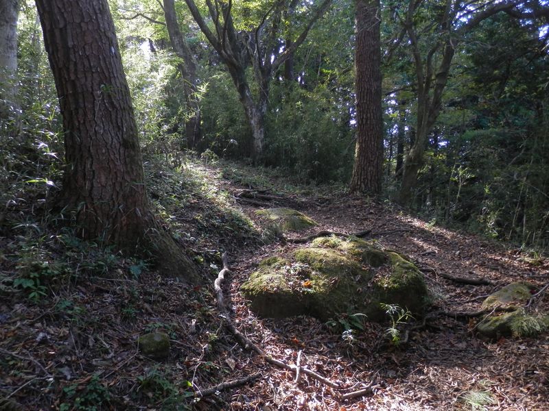 足柄古道の、いい感じの場所
