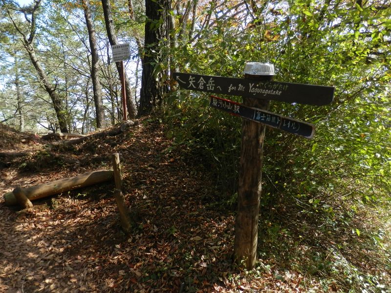 矢倉岳へのハイキング道は北に