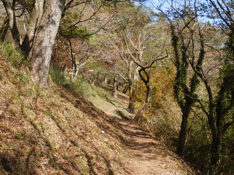 足柄万葉公園内の歩道