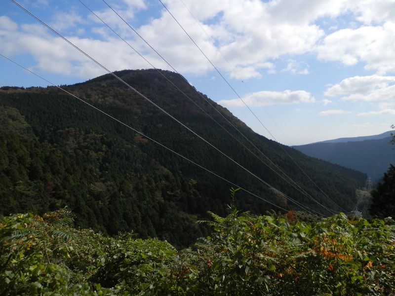 矢倉岳を望みながら、送電線の下を通過