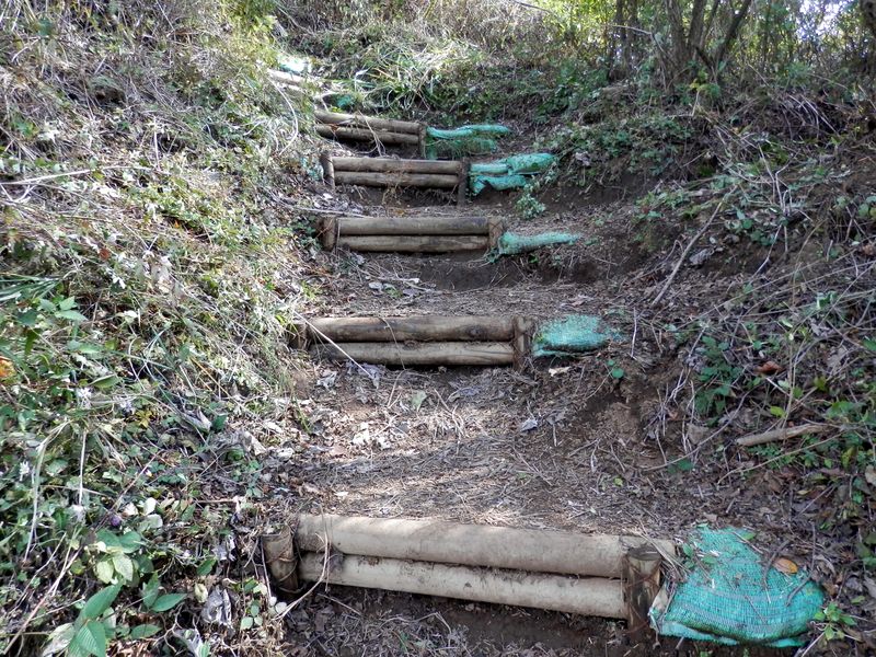 山頂直下の土止め階段