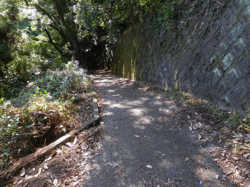 コンクリートの道に降り立つ