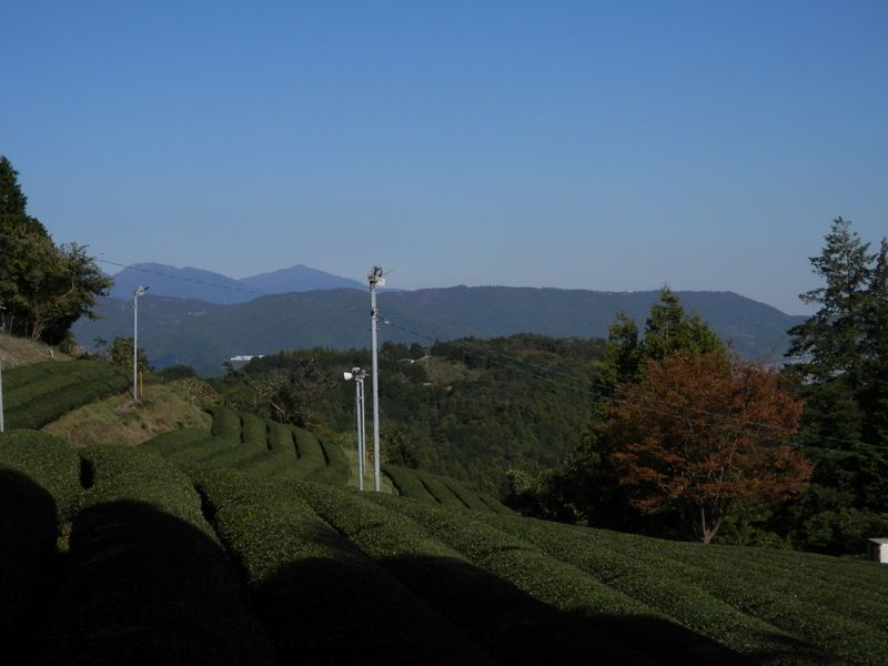 遠方左より、三ノ塔、二ノ塔、大山