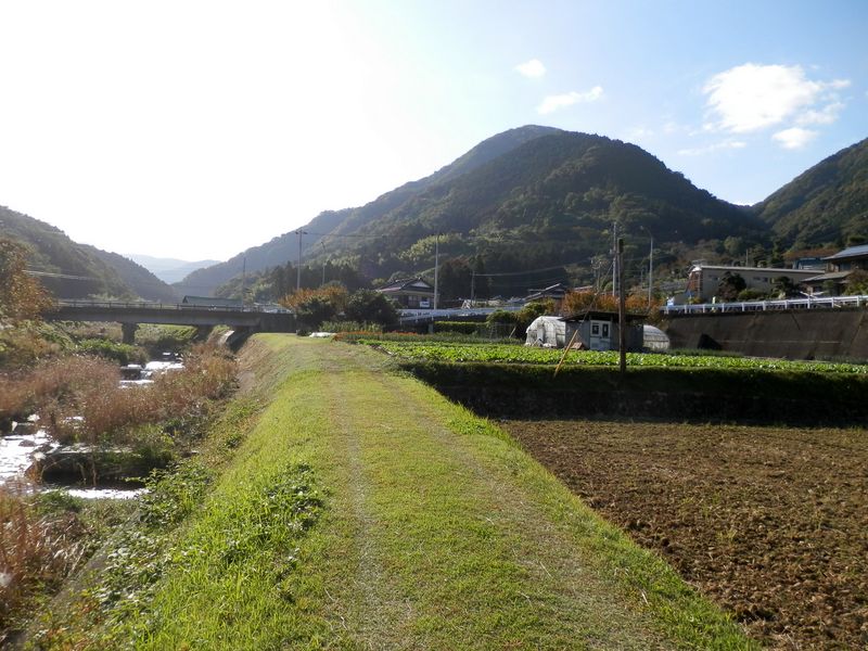 内川左岸より矢倉岳を望む