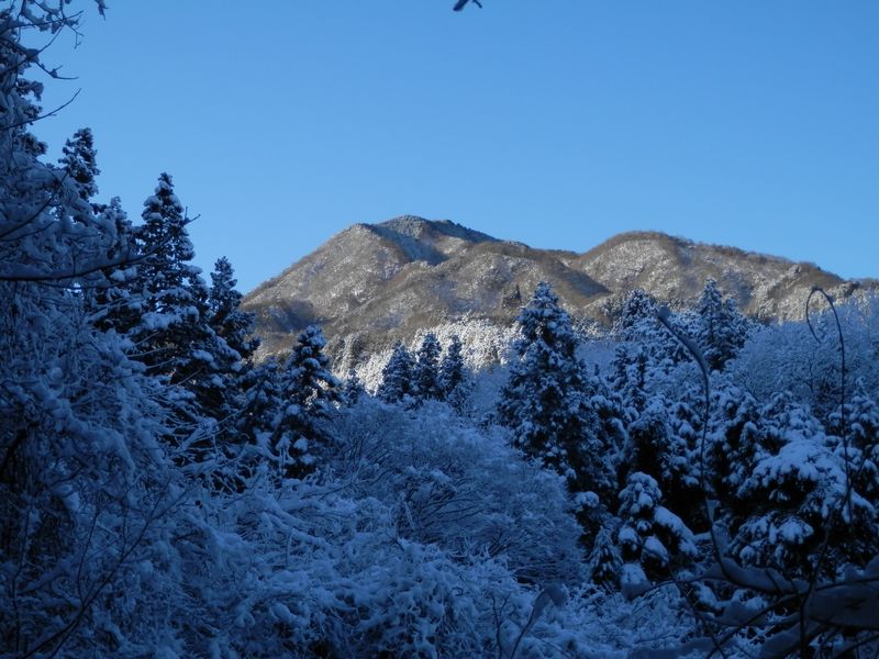 やっぱり、あれが焼山かな