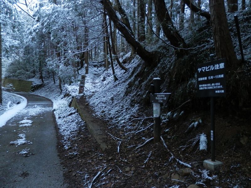 焼山登山道取り付き