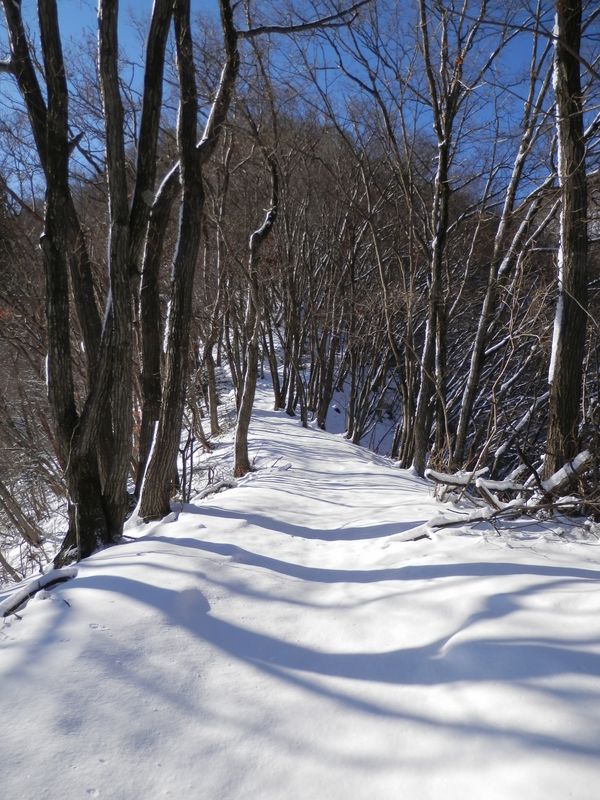 このあたりは、ルンルン気分