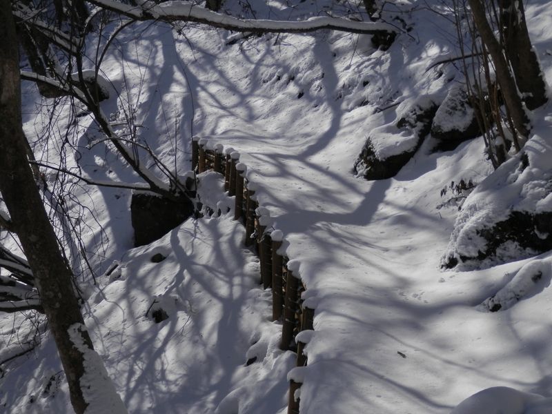 所どころに補強箇所がある