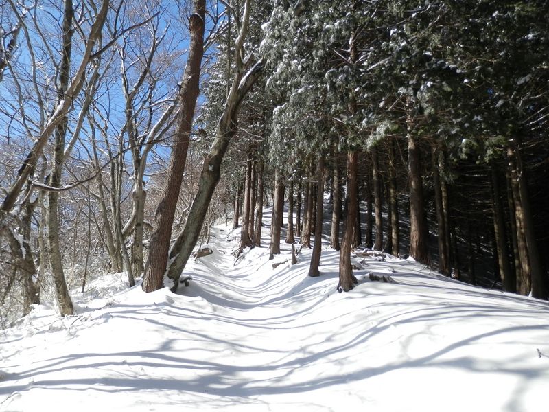焼山山頂が近い