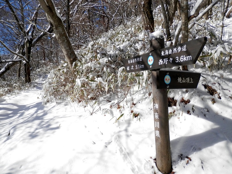 右は焼山頂上へ、正面は巻き道