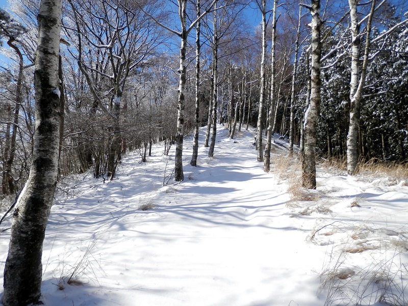 >焼山 山頂の展望台が見える