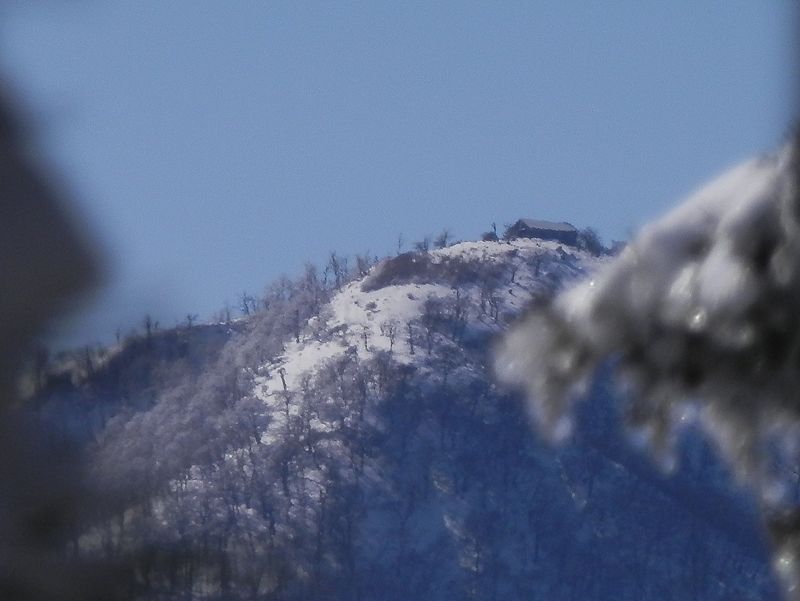 焼山展望台より、樹間に辛うじて蛭ヶ岳を覗き見る