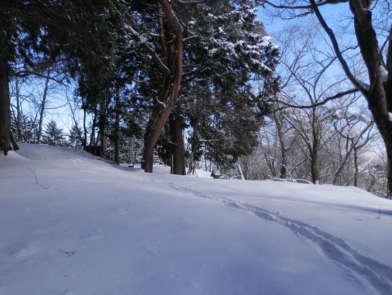 ちょっと、焼山山頂を振り返る