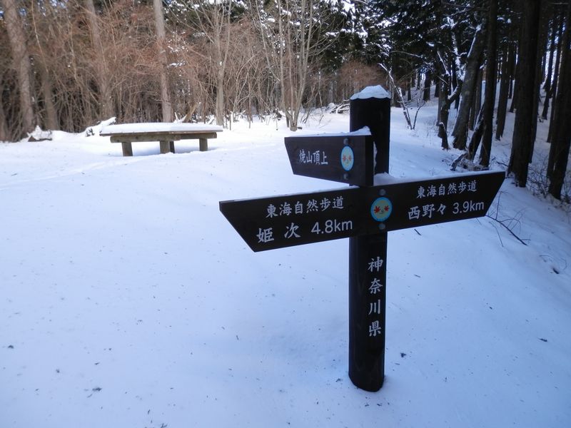 ここで焼山の巻き道を合わせる