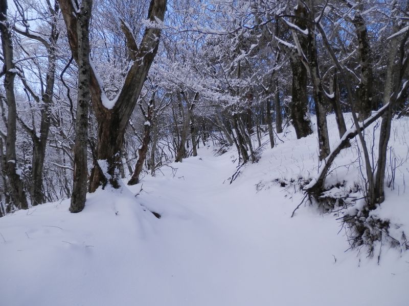 この頃は、まだ西に青空が見えていた