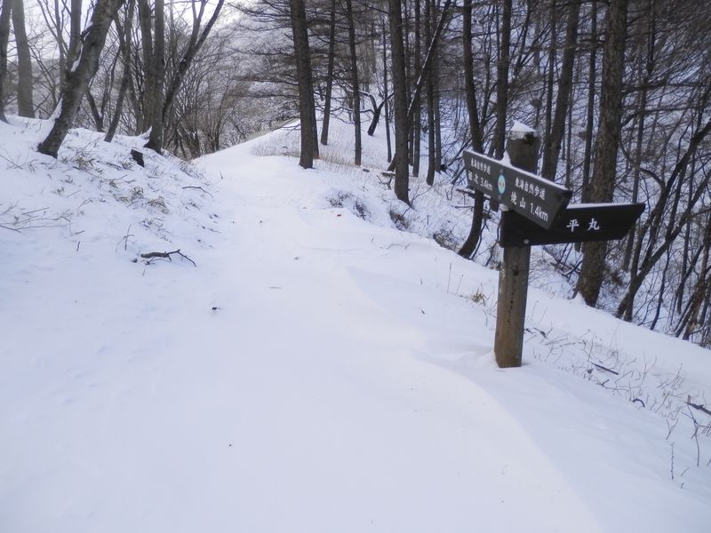 平丸分岐。雪で登山道が不明瞭