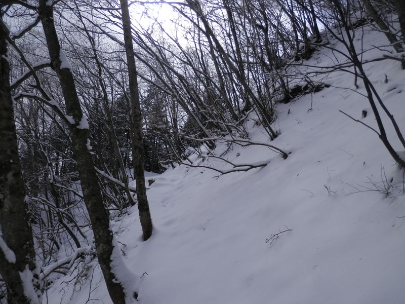登山道が狭い部分も