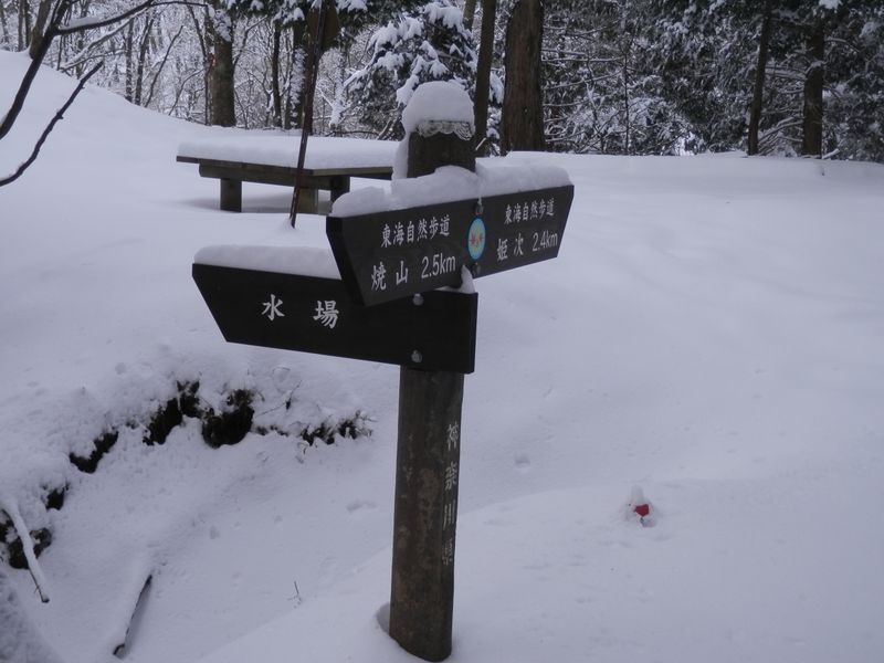 大平分岐の手前の水場分岐