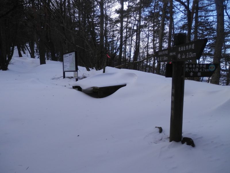 黍殻避難小屋近くの、青根分岐