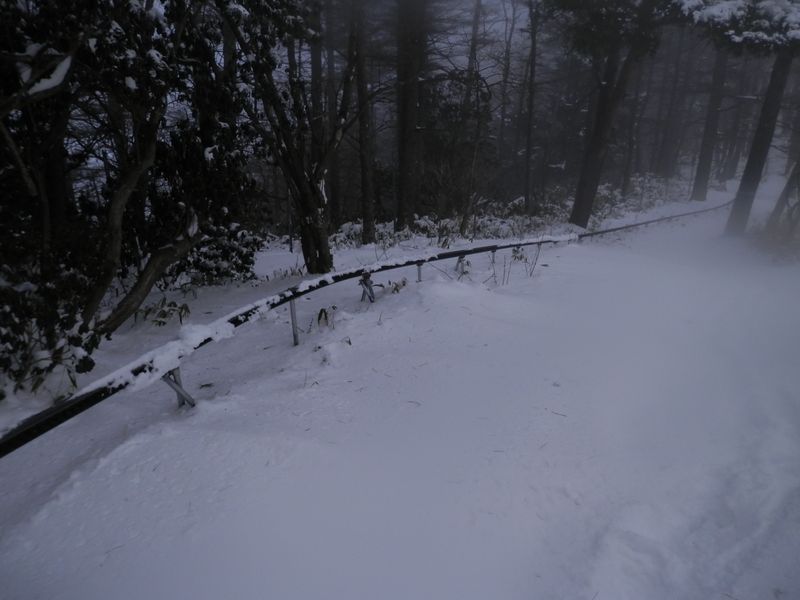  八丁坂ノ頭から、モノレールに沿って下る