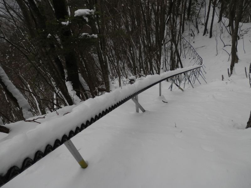 モノレールが延々と続く