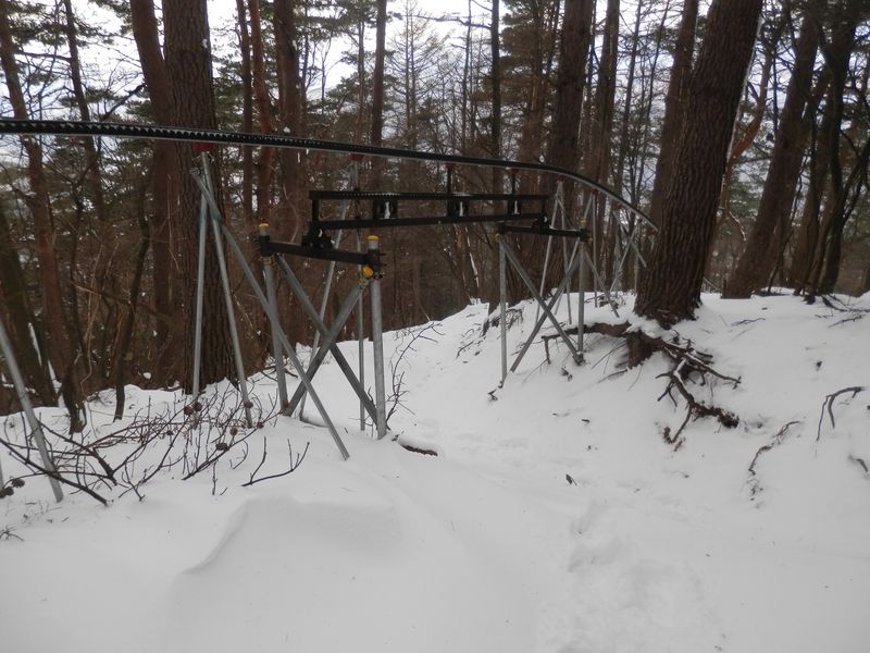 ここををくぐると、モノレールともお別れ