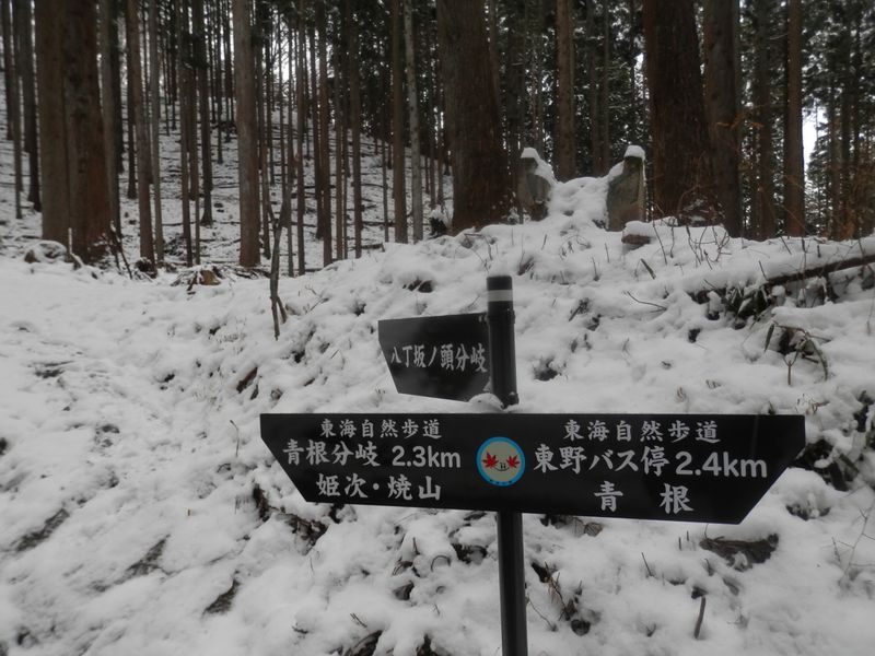 尾根下りの途中にも、こんな道標がほしかった