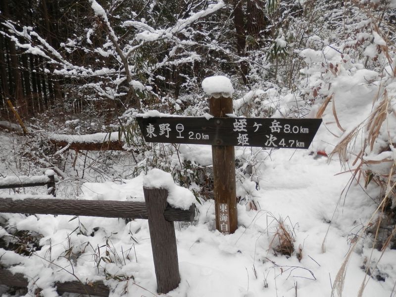 蛭の字が大きい