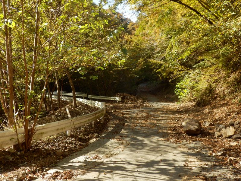 左折すれば音見沢橋