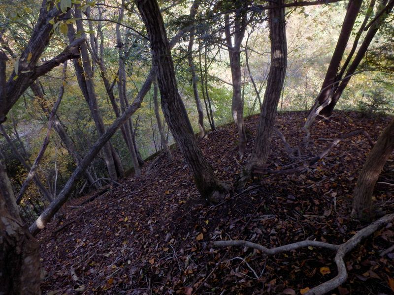 擁壁の上に立った