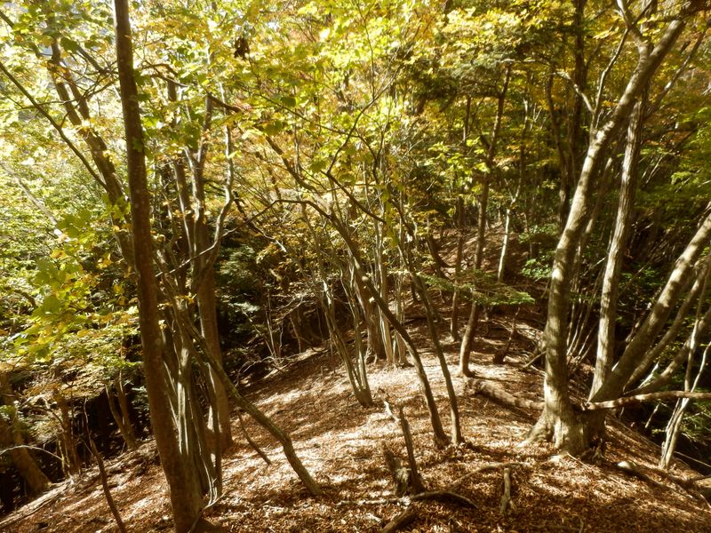 右と左から沢の音