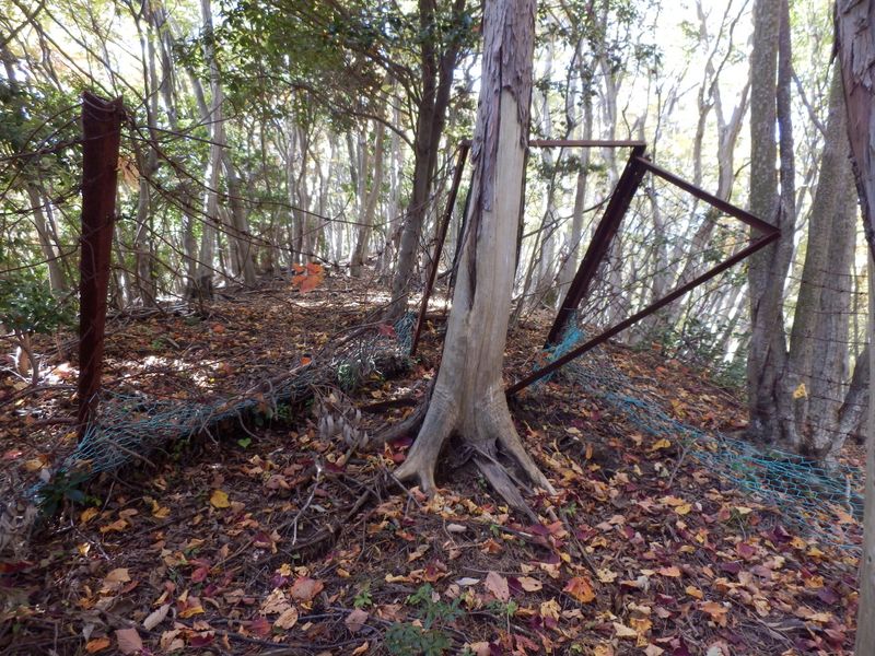 壊れた鹿柵ゲート