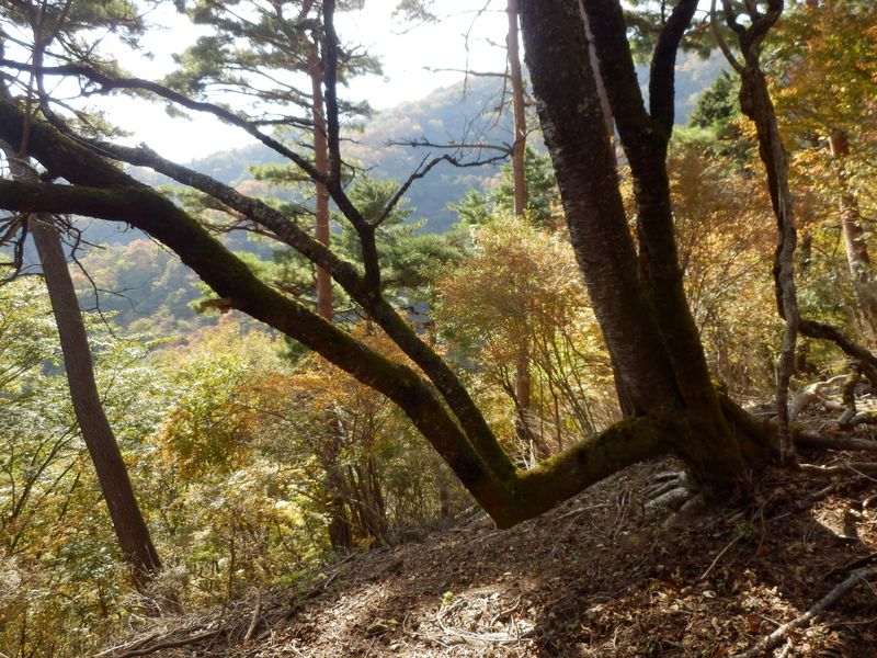 ここに腰を掛けたら