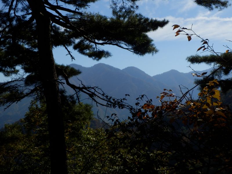 無名の頭が大きい