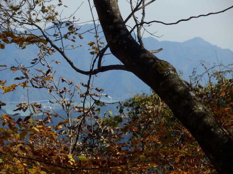 経ヶ岳方面を望む