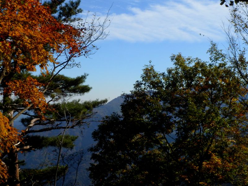 栂立尾根を少し