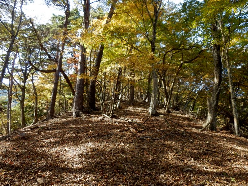 尾根幅がとても広くなった