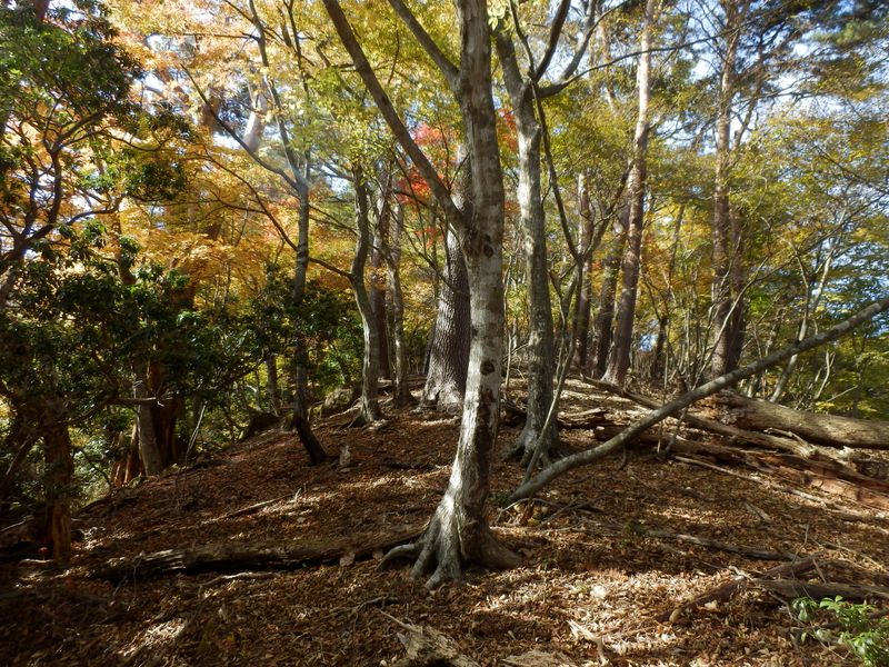 どこを見ても美しい尾根