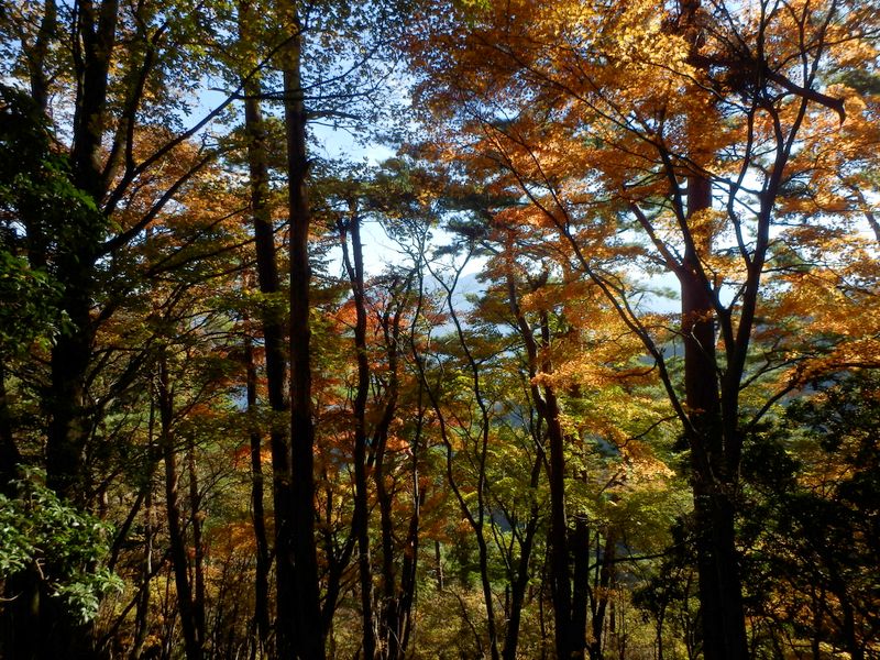 一応、丹沢山方面